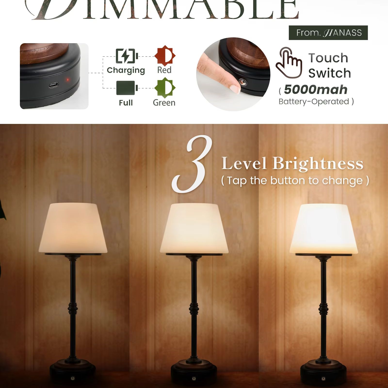 Cordless Table Lamps Set of  5 - Desk Setup Room recensione e prezzo